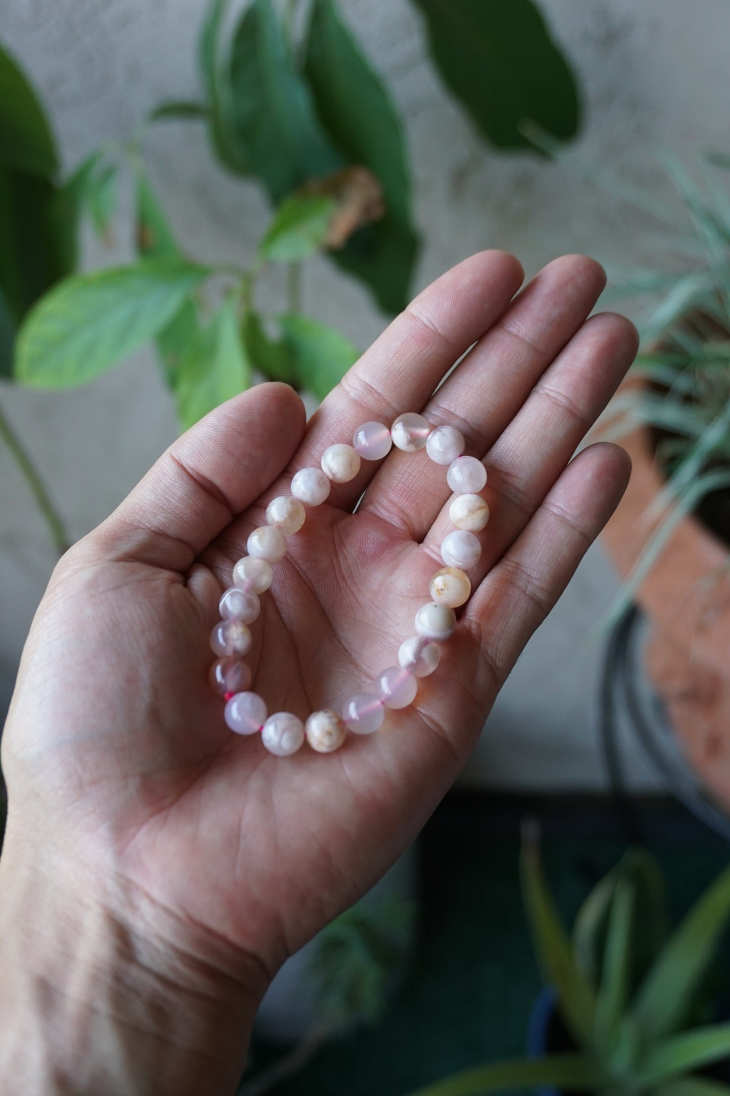 Flower Agate: Assists in visualizing the growth process, acknowledging and enjoying each stage. It assists us in reaching our full potential by shielding us from worries and self-doubt.