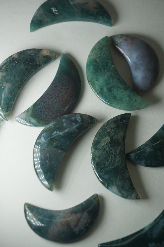 Exploring the Connection Between Plants and Crystals