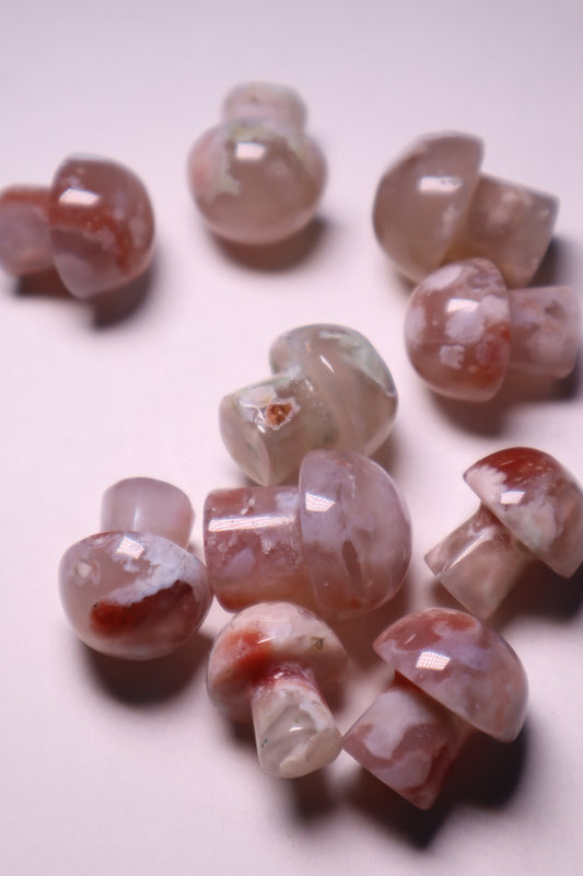 Flower Agate: Assists in visualizing the growth process, acknowledging and enjoying each stage. It assists us in reaching our full potential by shielding us from worries and self-doubt.