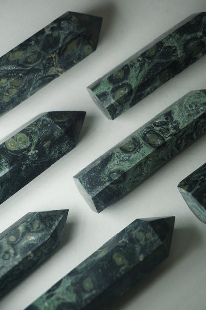 Kambaba Jasper: An intriguing and visually captivating crystal, is cherished for its deep green color and distinct swirling patterns reminiscent of lush landscapes.