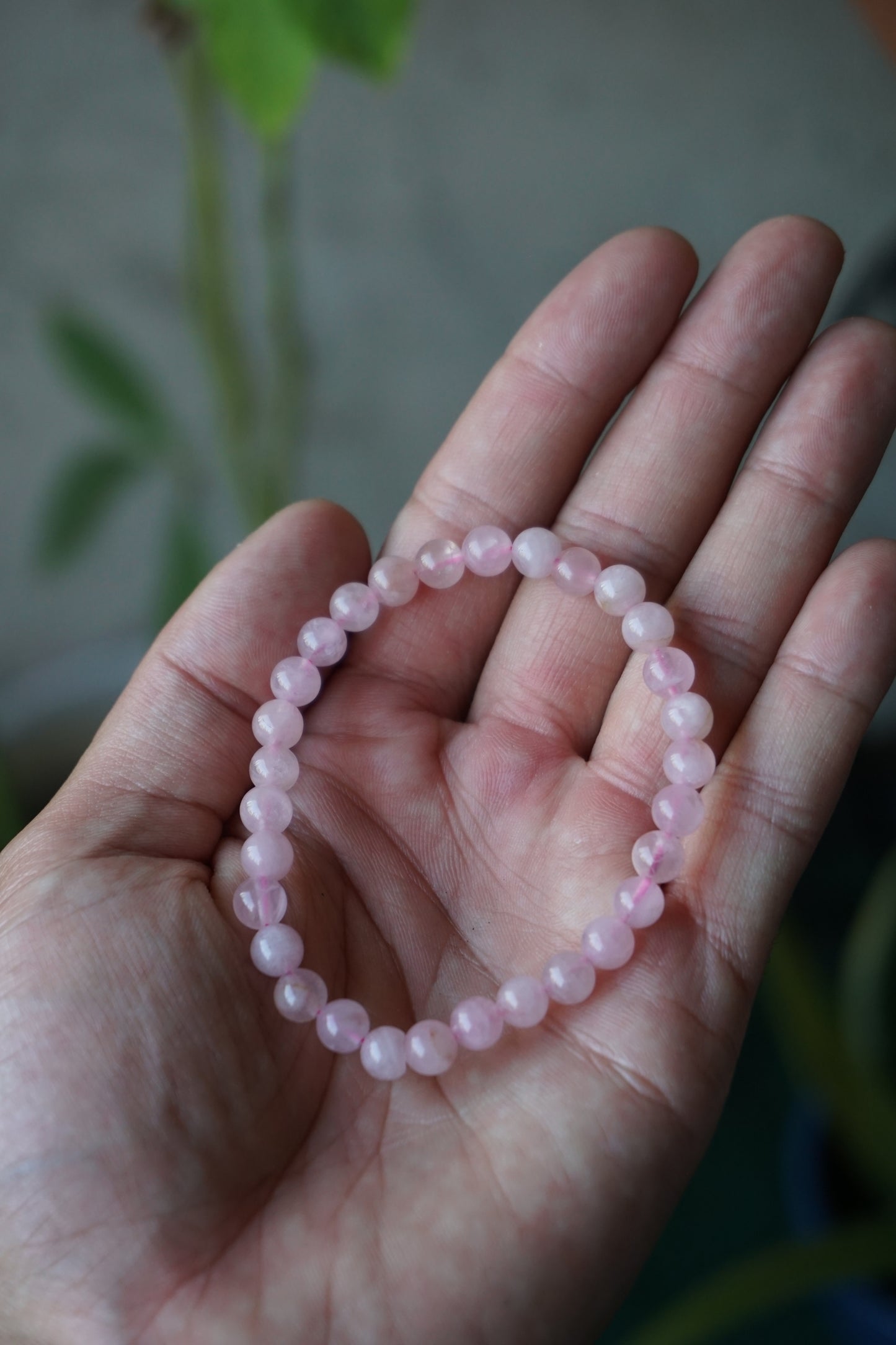 Rose Quartz: A gentle and universally cherished crystal, is treasured for its delicate pink hues and its profound connection to love and compassion. With its association to the Heart chakra, Rose Quartz promotes emotional healing, self-love, and harmony in relationships.